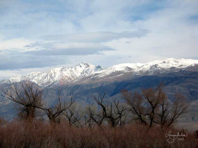 White Mountain from Bishop  (IMG_c00523)